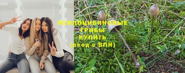 MESCALINE Кодинск