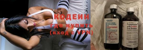 прущие грибы Корсаков
