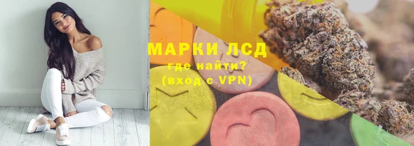 прущие грибы Корсаков