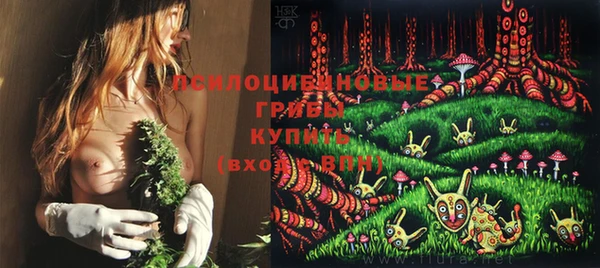 прущие грибы Костерёво