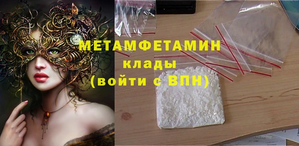 прущие грибы Корсаков